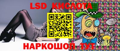 прущие грибы Заводоуковск