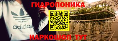 прущие грибы Заводоуковск
