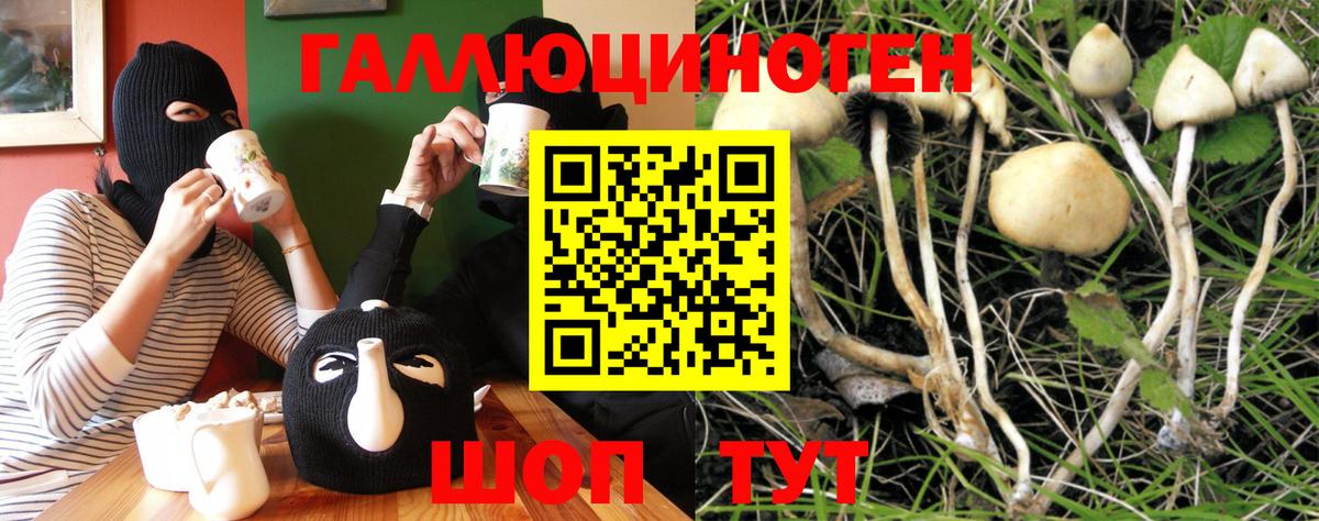 Галлюциногенные грибы MAGIC MUSHROOMS Дзержинск