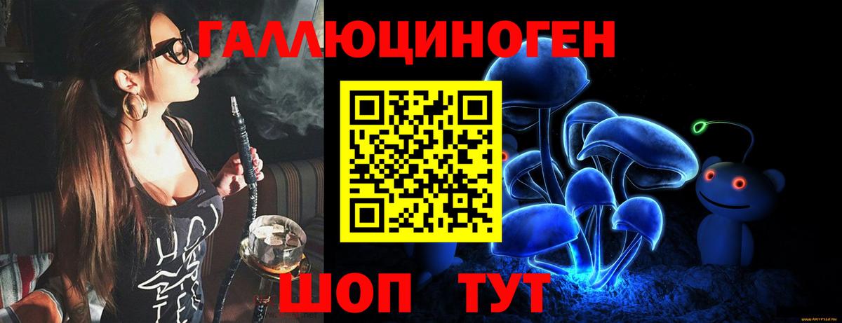 Дзержинск  Псилоцибиновые грибы мицелий  Вход с VPN 
